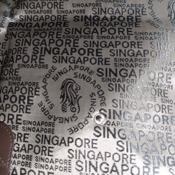 Singapore: folding tote . - Picture 5 of 8